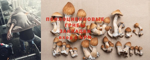 СК Нягань