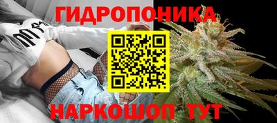амф Гусев