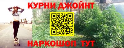 амф Гусев