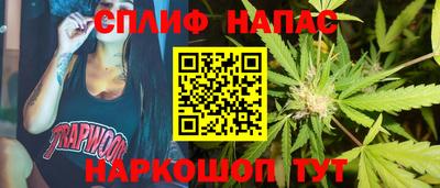 амф Гусев