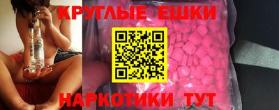 амф Гусев