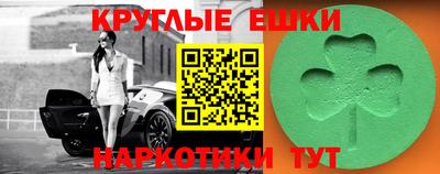 амф Гусев