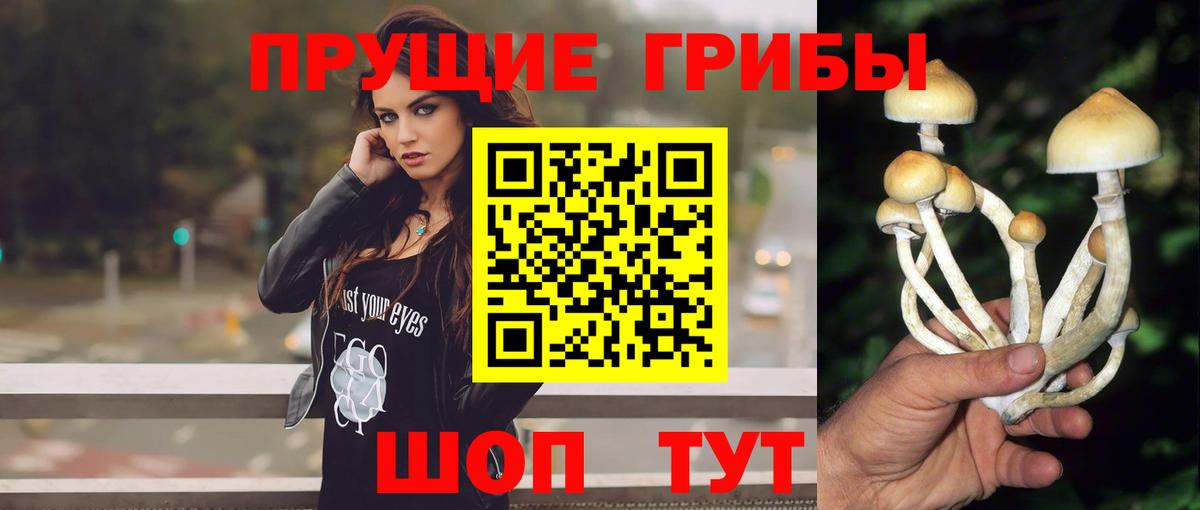 Галлюциногенные грибы Cubensis Усть-Лабинск